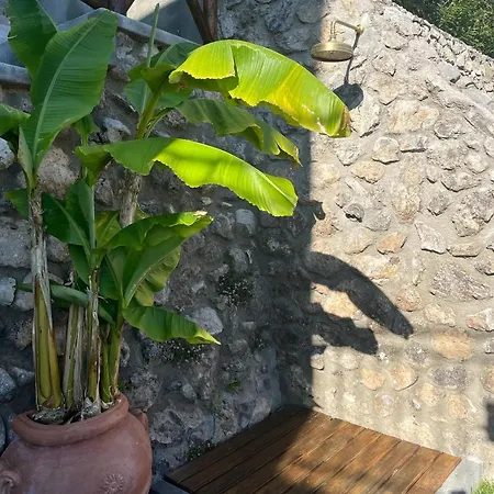 Villa De Rosa