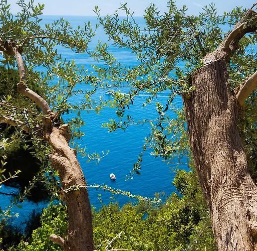 Villa De Rosa Positano