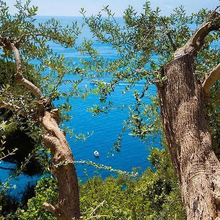 Villa De Rosa Positano